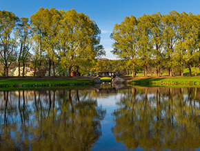 A large pond. Links to Gifts That Pay You Income