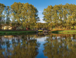 A pond on campus. Links to Beneficiary Designations A pond on campus. Links to Beneficiary Designations