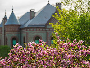Trees in front of a building. Links to Link to Life Stage Gift Planner Under Age 60 Situations.