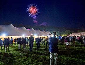 People watching fireworks. Links to Gifts from Retirement Plans