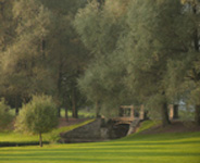 Photo of a bridge on campus