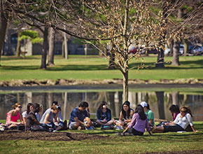 A group of students sitting outside. Links to Closely Held Business Stock A group of students sitting outside. Links to Closely Held Business Stock