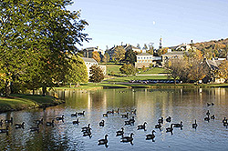 Photo of campus across the lake